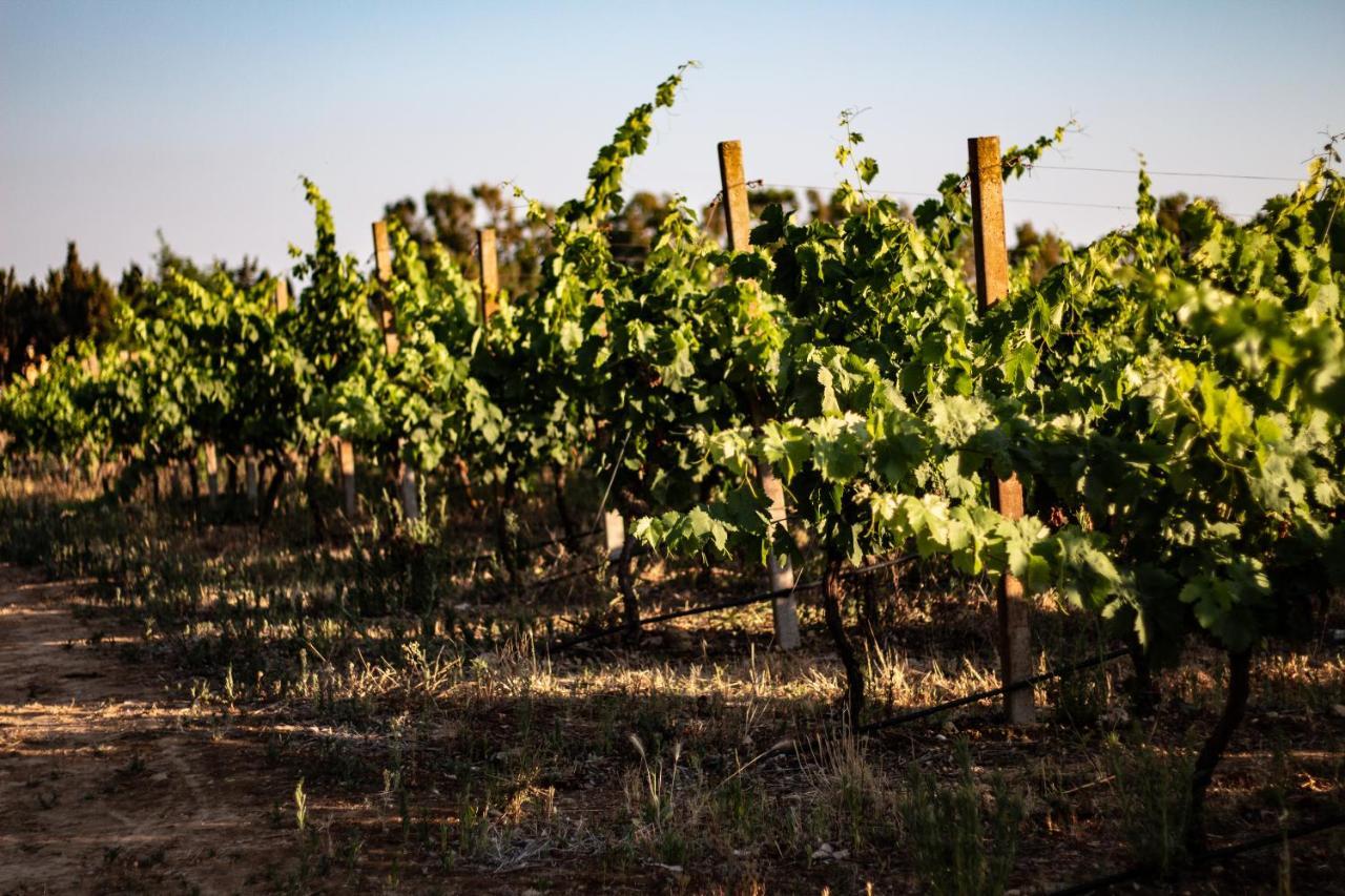 The Vineyards Bed & Breakfast Alghero Dış mekan fotoğraf