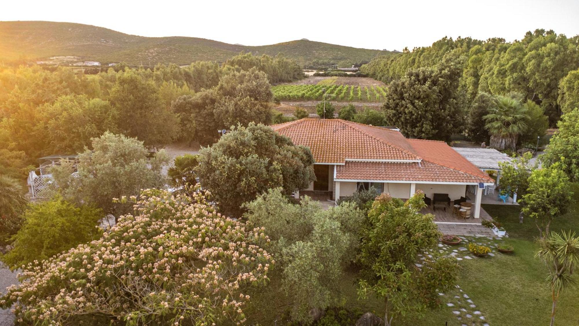 The Vineyards Bed & Breakfast Alghero Dış mekan fotoğraf