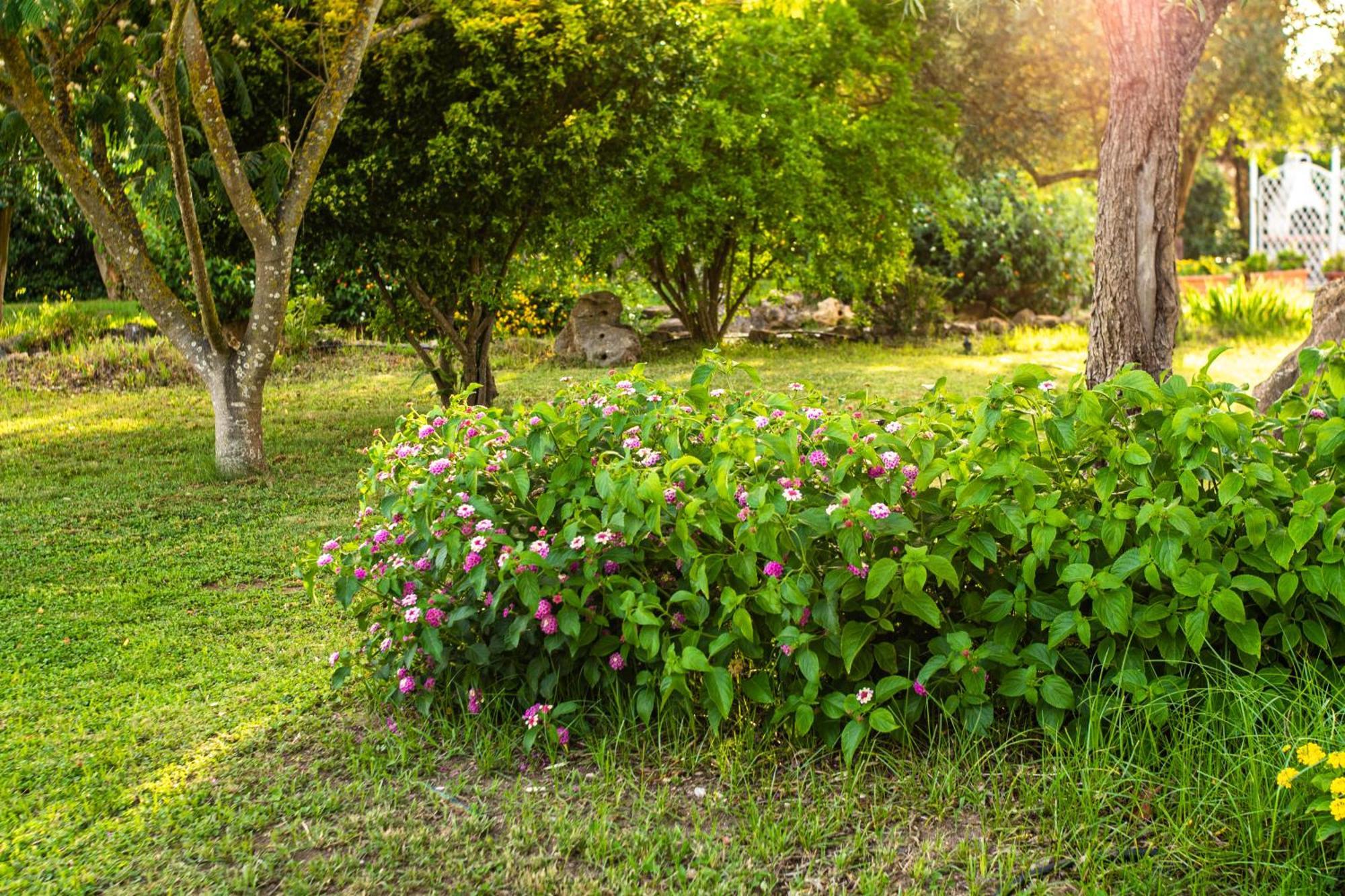 The Vineyards Bed & Breakfast Alghero Dış mekan fotoğraf