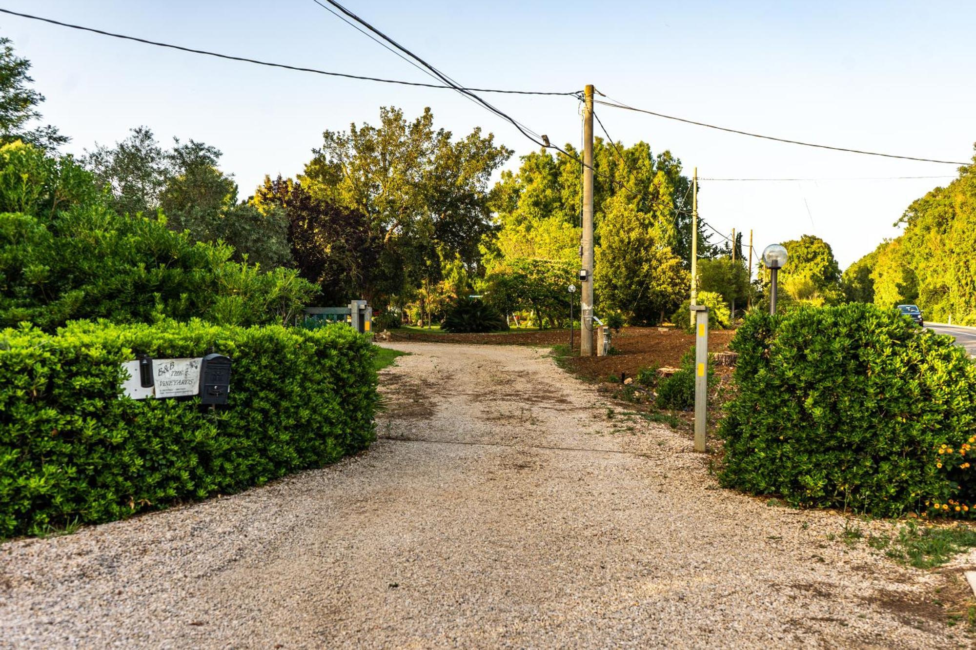 The Vineyards Bed & Breakfast Alghero Dış mekan fotoğraf